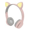 AKids Catto1